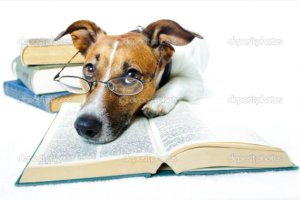 depositphotos_6315350-dog-learning